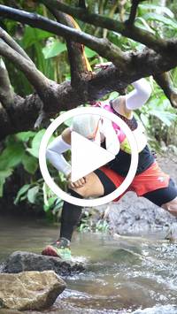 BIB:  <button type="button" onclick="openModal(27806168)" class="btn btn-primary btn-sm float-right" data-toggle="modal" data-target=".modal-high-quality">
                <i class="fa fa-download"></i> Download
                </button>